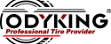 Логотип Odyking